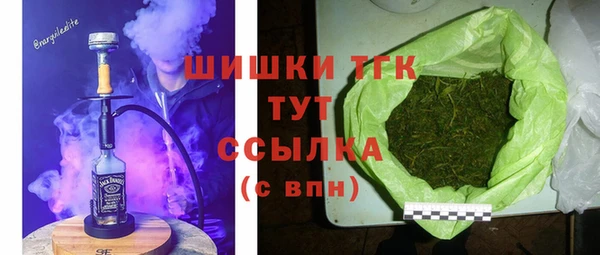 бошки Няндома