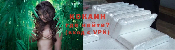 бошки Няндома