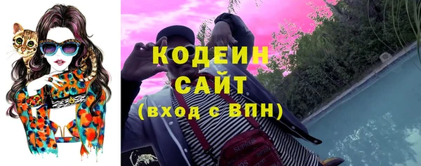 ПСИЛОЦИБИНОВЫЕ ГРИБЫ Рославль