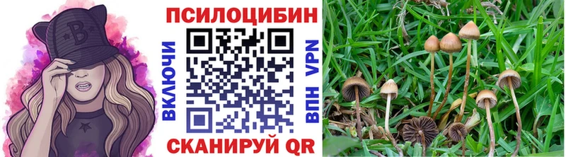 где купить   Зея  OMG ссылки  Галлюциногенные грибы мухоморы 